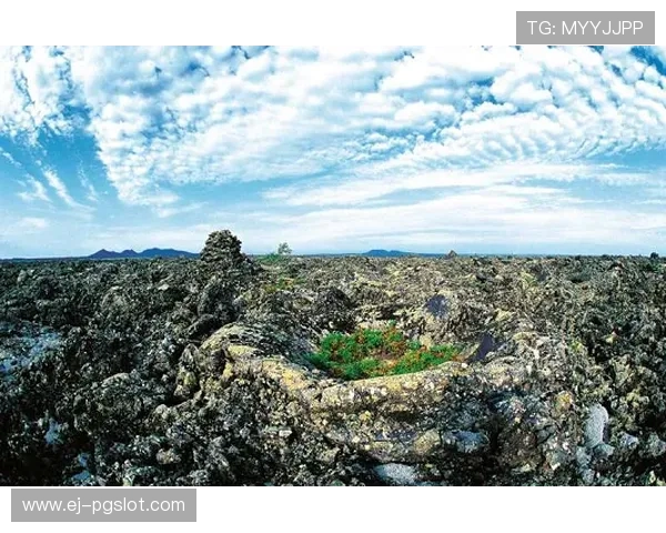 情侣双排挑战三角洲极限协作共赢体验之旅 情侣双排挑战三角洲极限协作共赢体验之旅